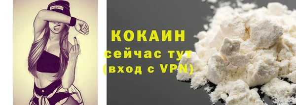 гидра Пестово