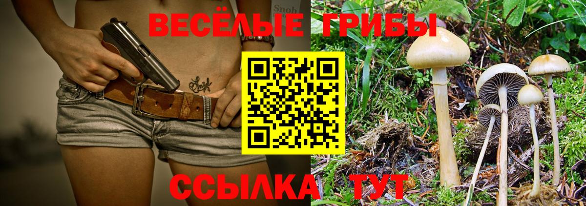 Псилоцибиновые грибы Psilocybine cubensis  Галлюциногенные грибы прущие грибы  Вход с VPN  Сосновоборск 