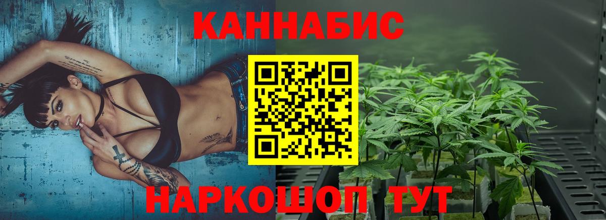 Сосновоборск  Бошки Шишки гибрид  Марихуана план  Вход с VPN  Конопля индика 